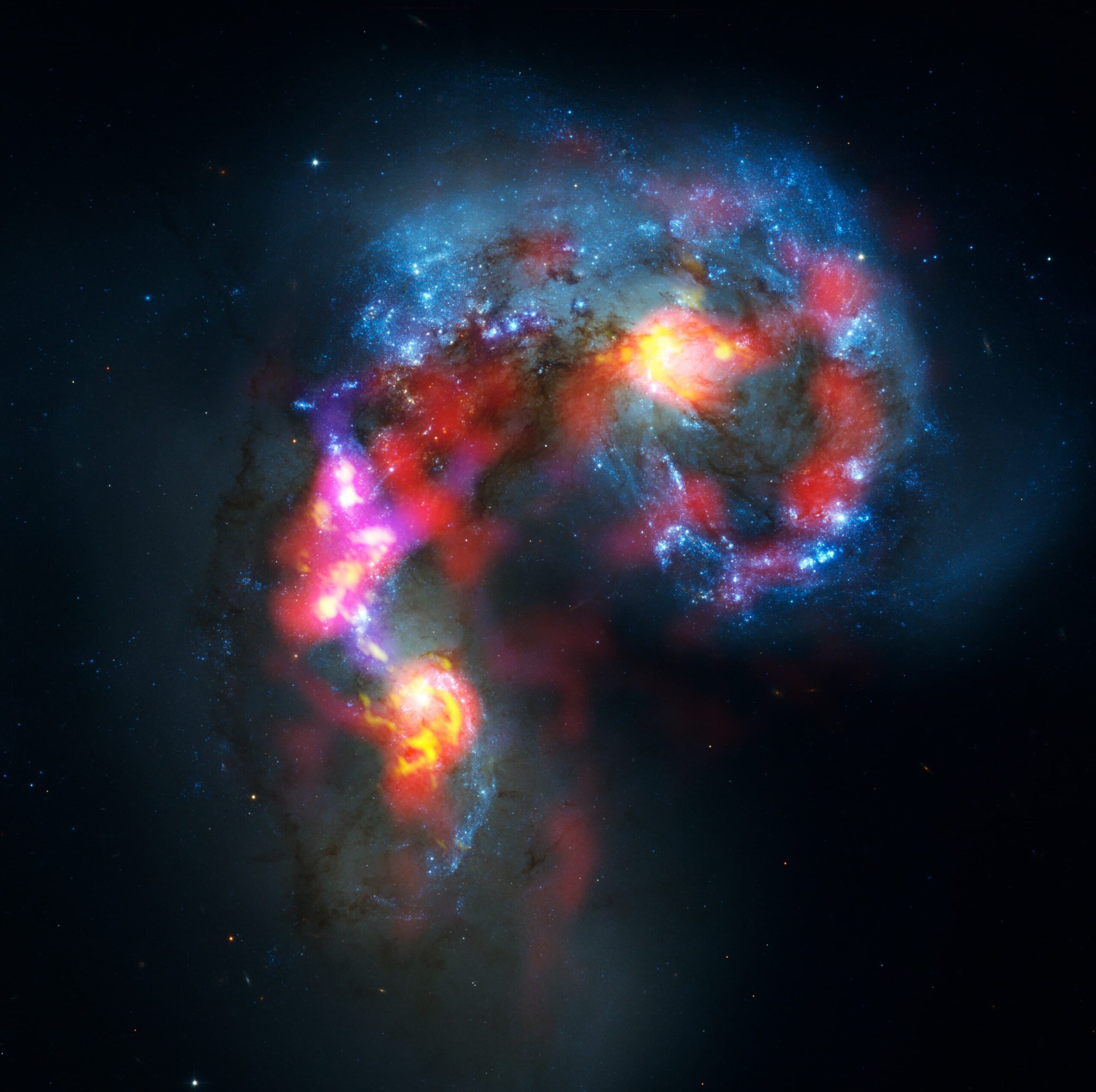 Science photo essay
